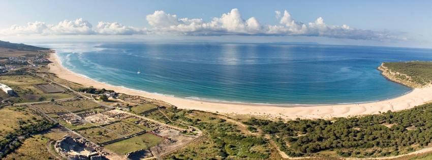 Apartamento Palo Cortao Jerez de la Frontera Bagian luar foto