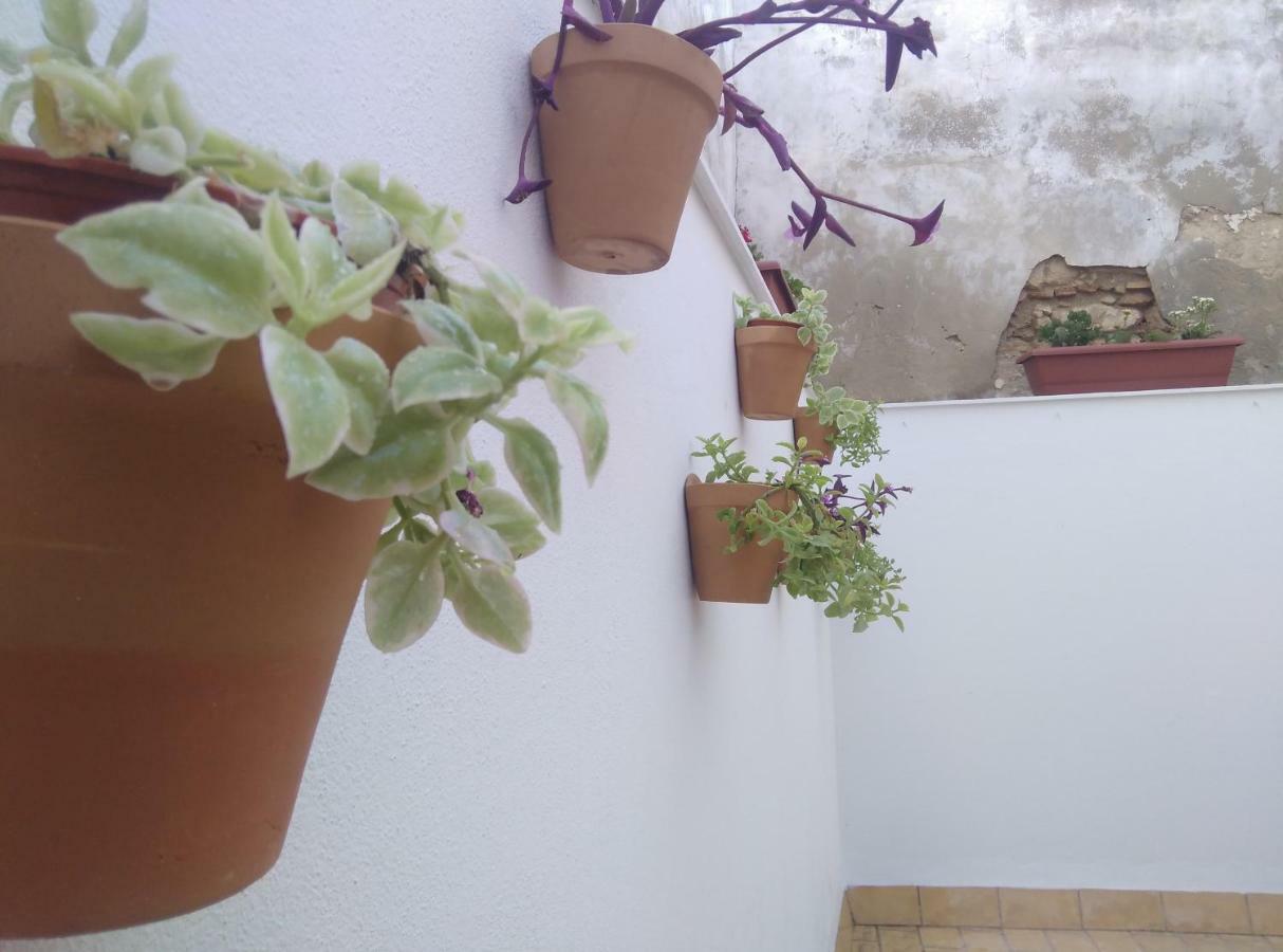 Apartamento Palo Cortao Jerez de la Frontera Bagian luar foto